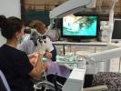 Eurodentica Specialized Dental Care
